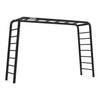 BERG PlayBase Large Frame (2 Ladders) CONTACT US FOR CURRENT AVAILABILITY DATE