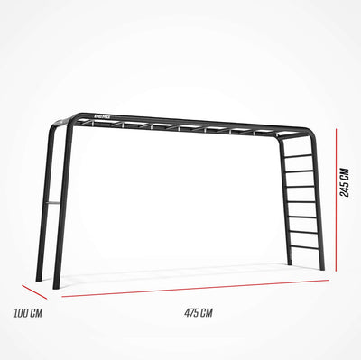 BERG PlayBase Extra Large (Tumble / Ladder) (NEW)