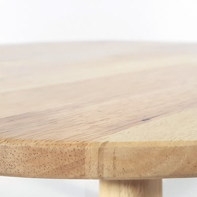 Children’s Round Table ‘Indianimals’