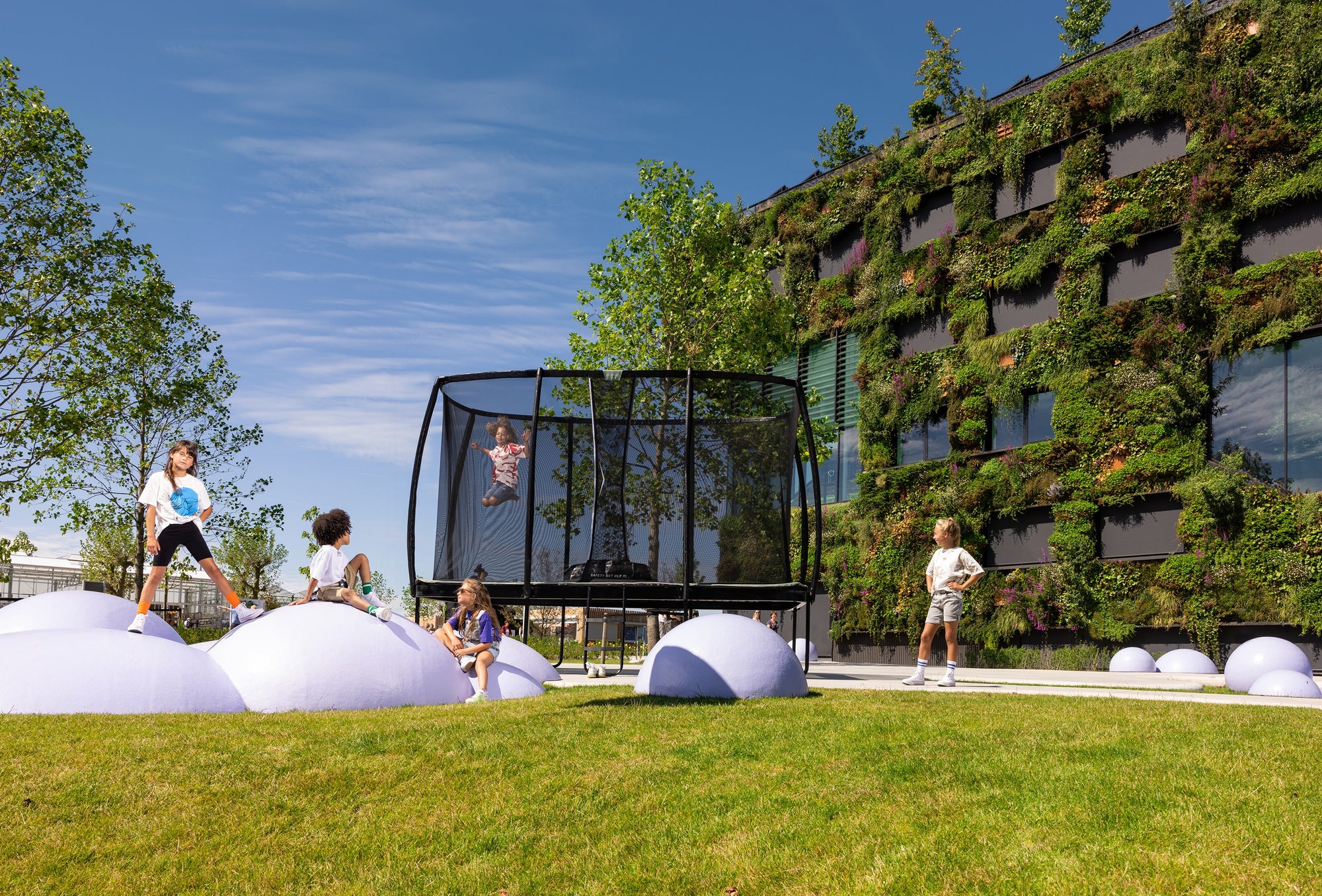 BERG Ultim Champion ECO Regular 13.5 x 8ft Trampoline + SAFETY NET DLX XL + LADDER