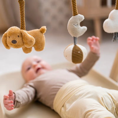 Nattou Wooden Arch with Hanging Toys