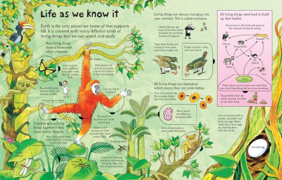Usborne: See Inside Science