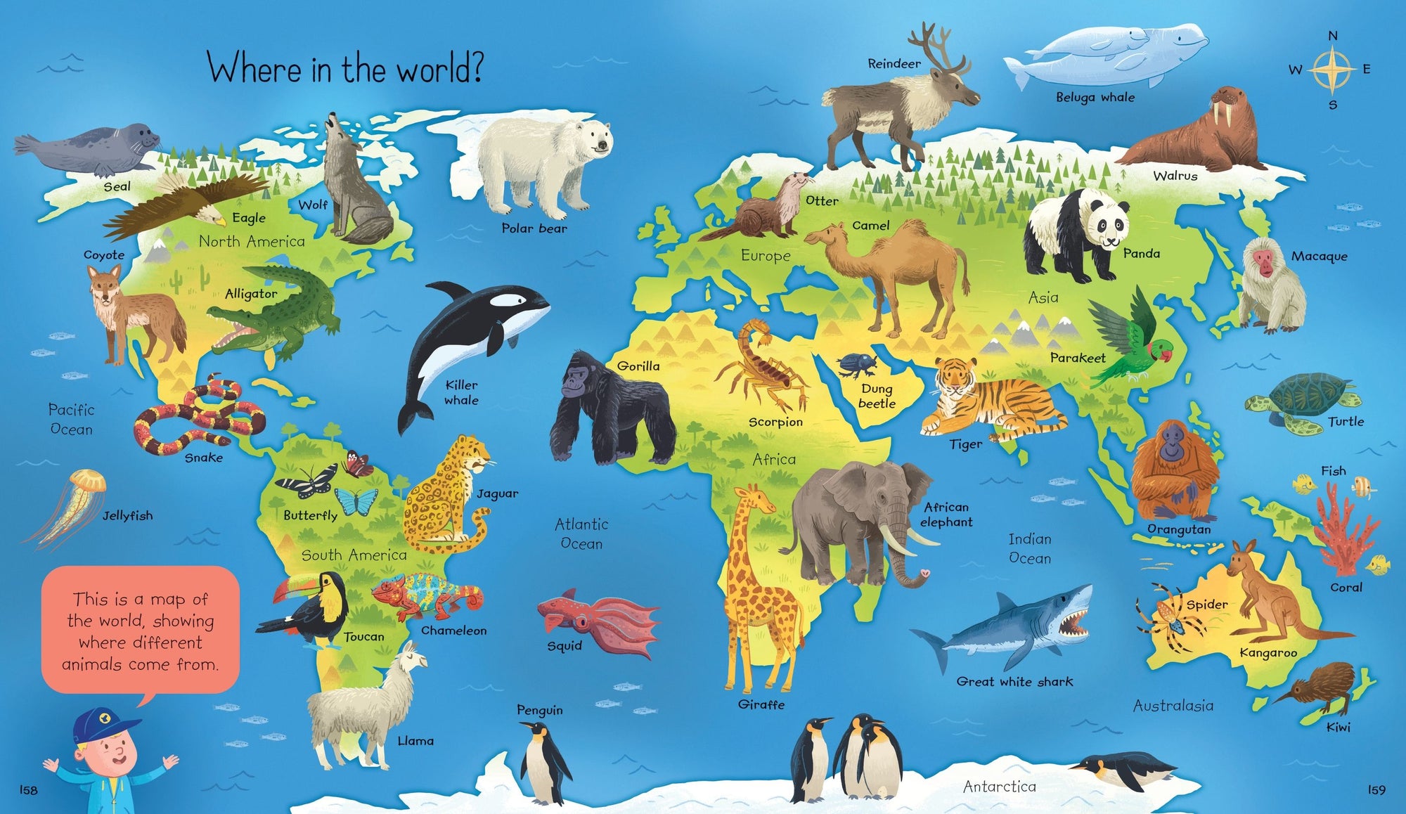 Usborne: My First Encyclopedia