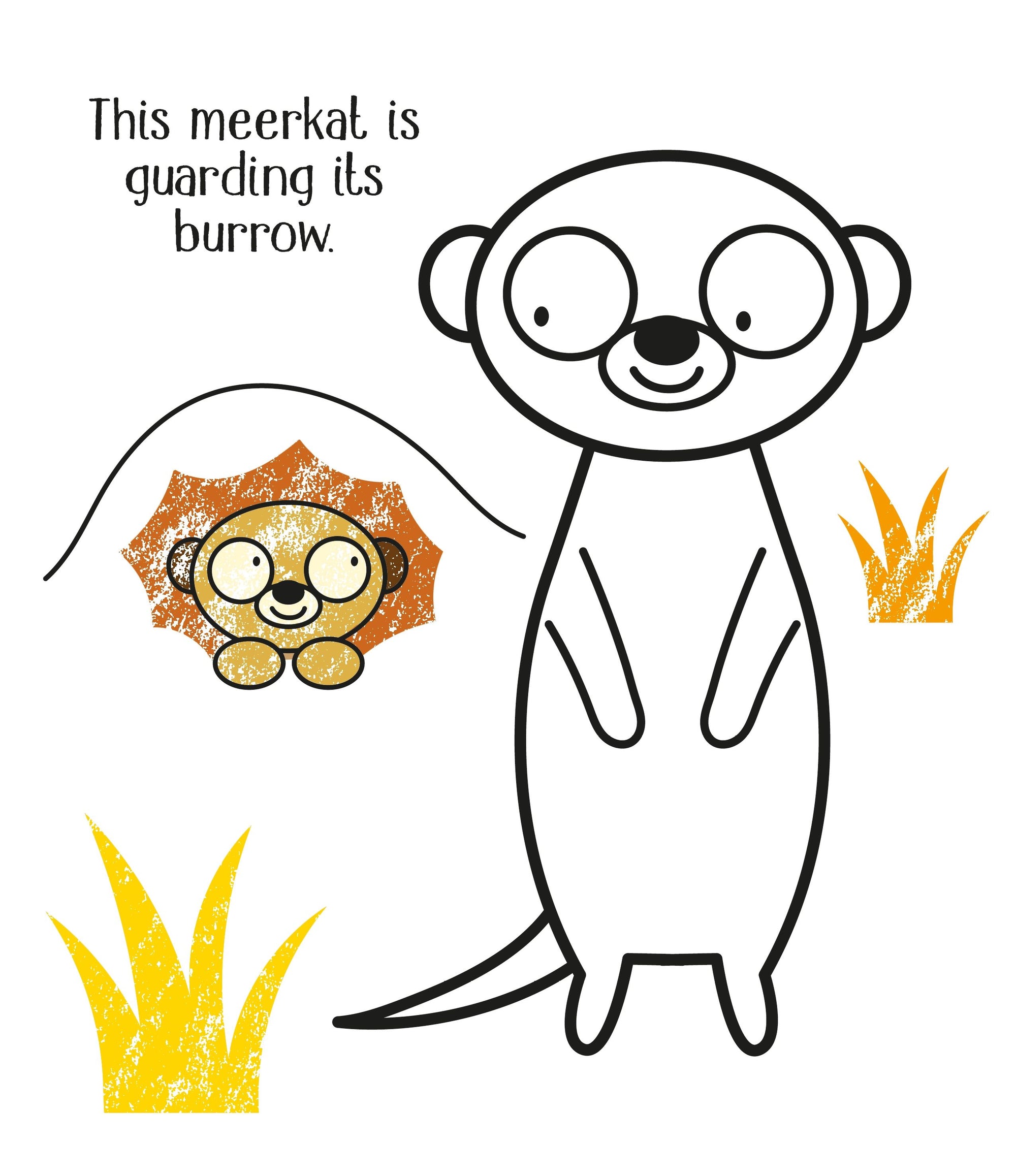 Usborne First Colouring: Zoo Animals