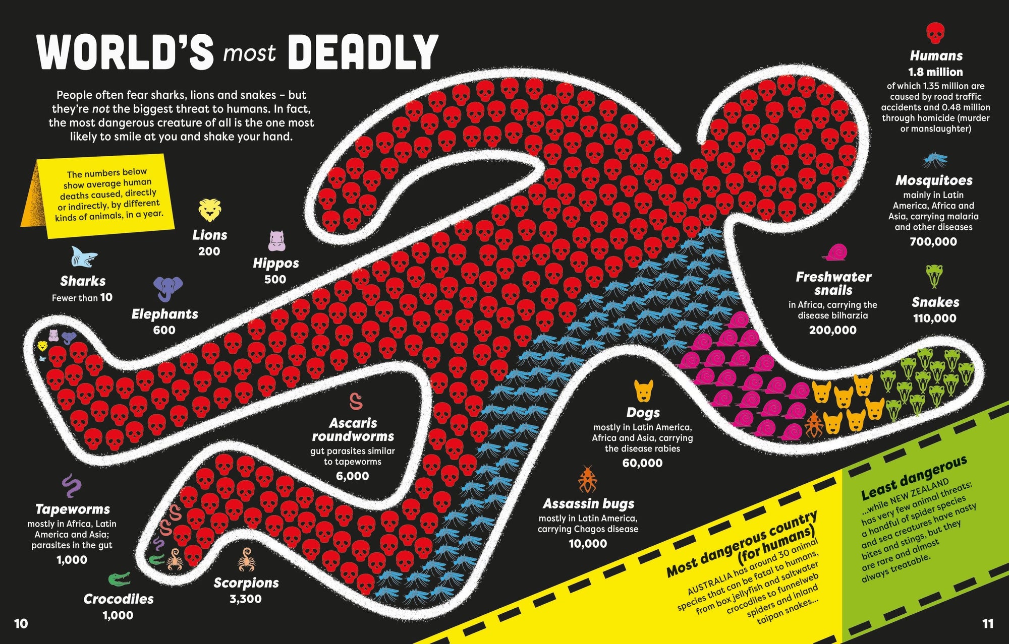 Usborne: Big Book of Facts