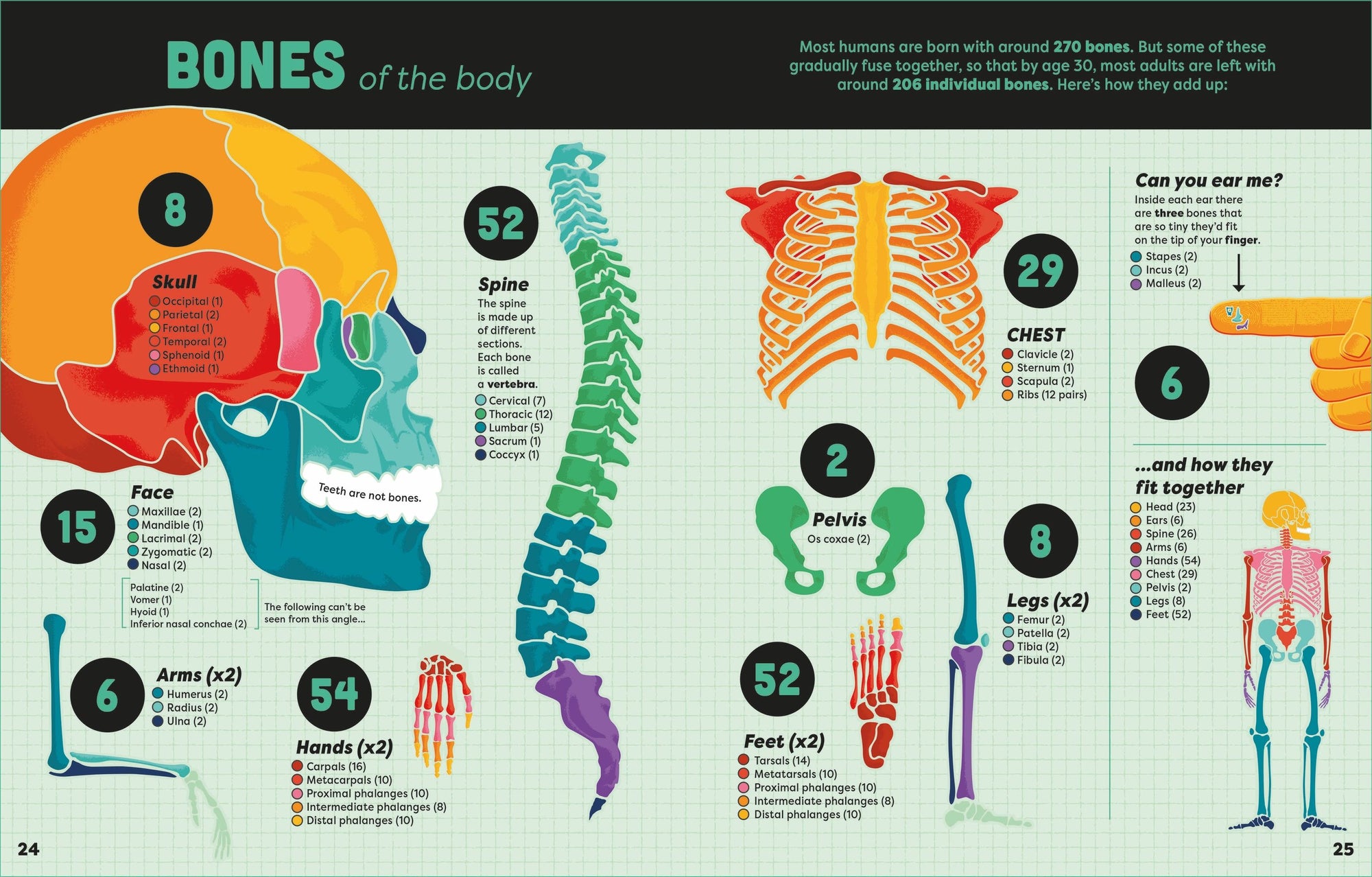 Usborne: Big Book of Facts
