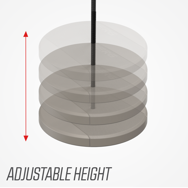 BERG PLAYBASE DISC SWING (NEW)