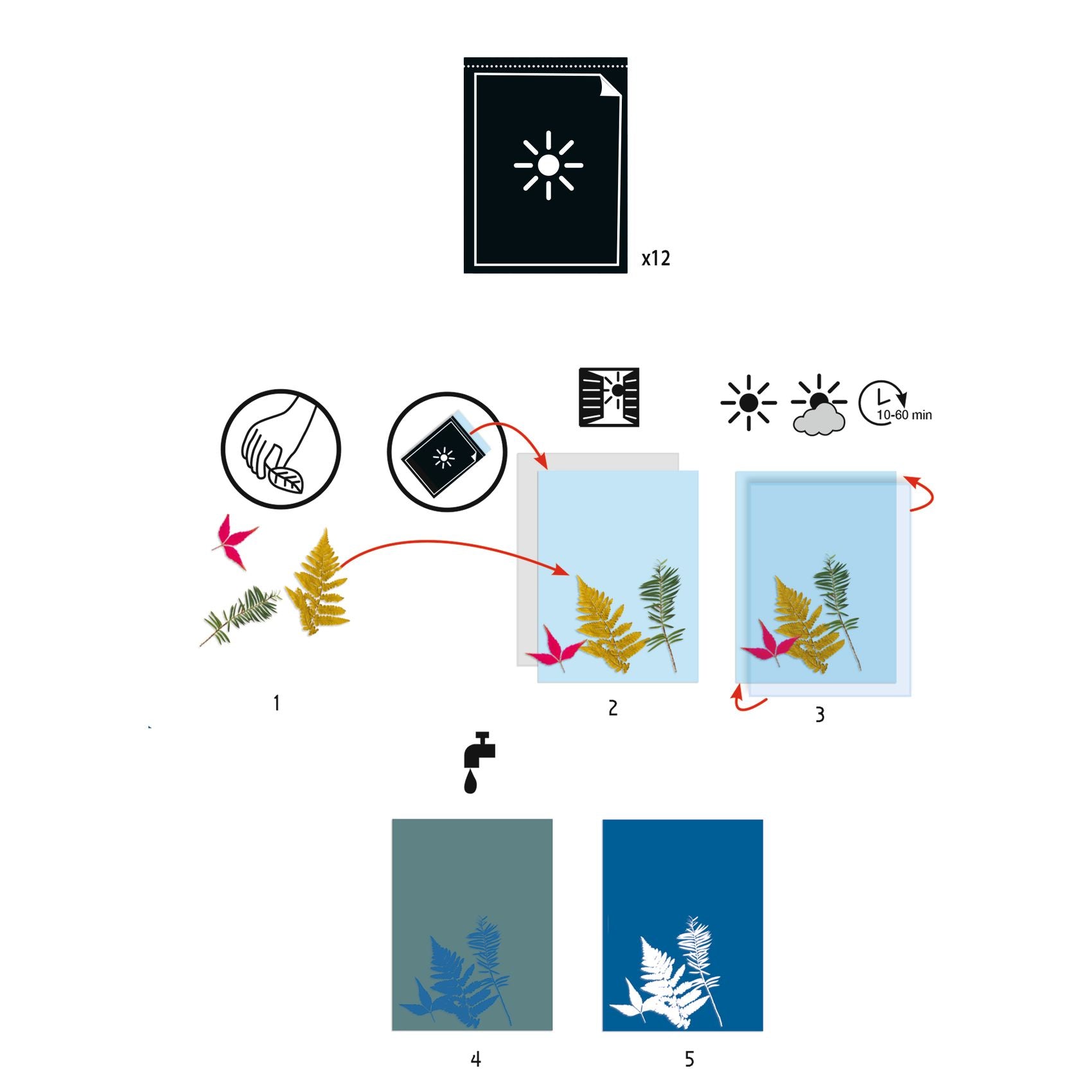 Djeco Cyanotype Paper (7-99yrs)