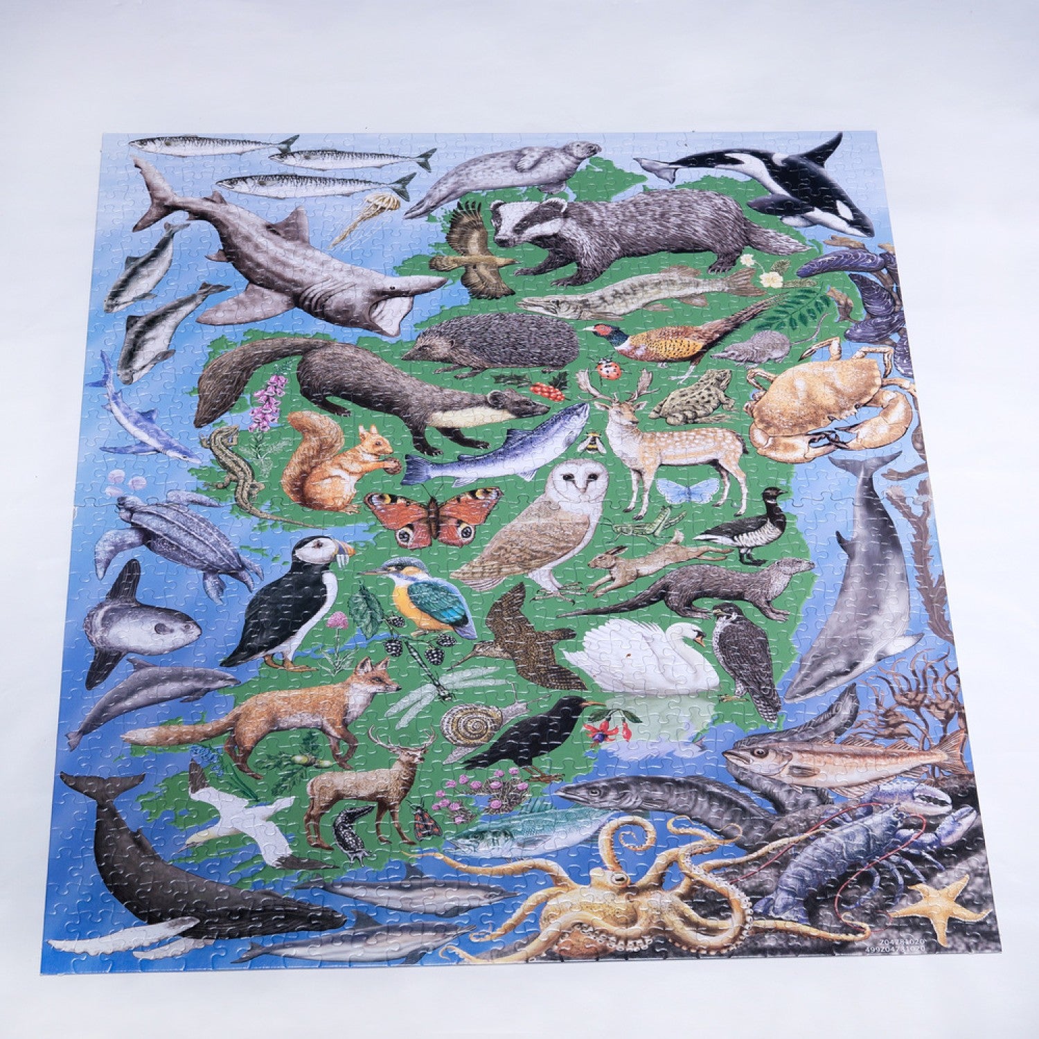 Wild Ireland 1000 Piece Puzzle