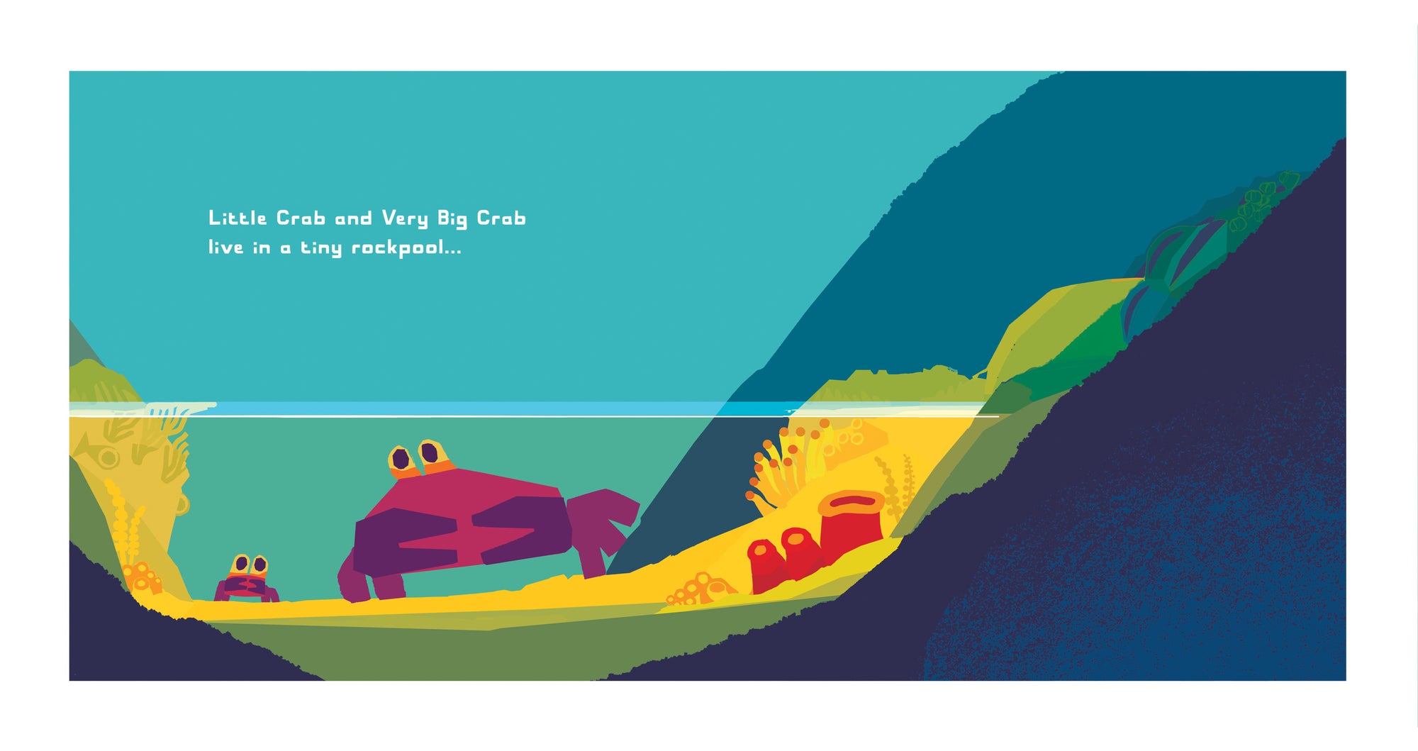 CHRIS HAUGHTON: Don't Worry, Little Crab