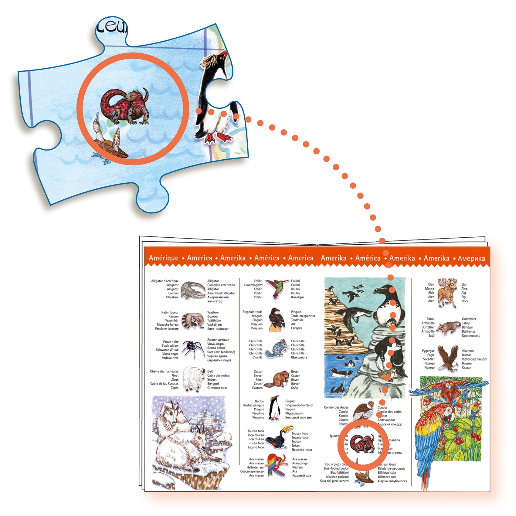 Djeco Puzzle Observation: Animals Of The World