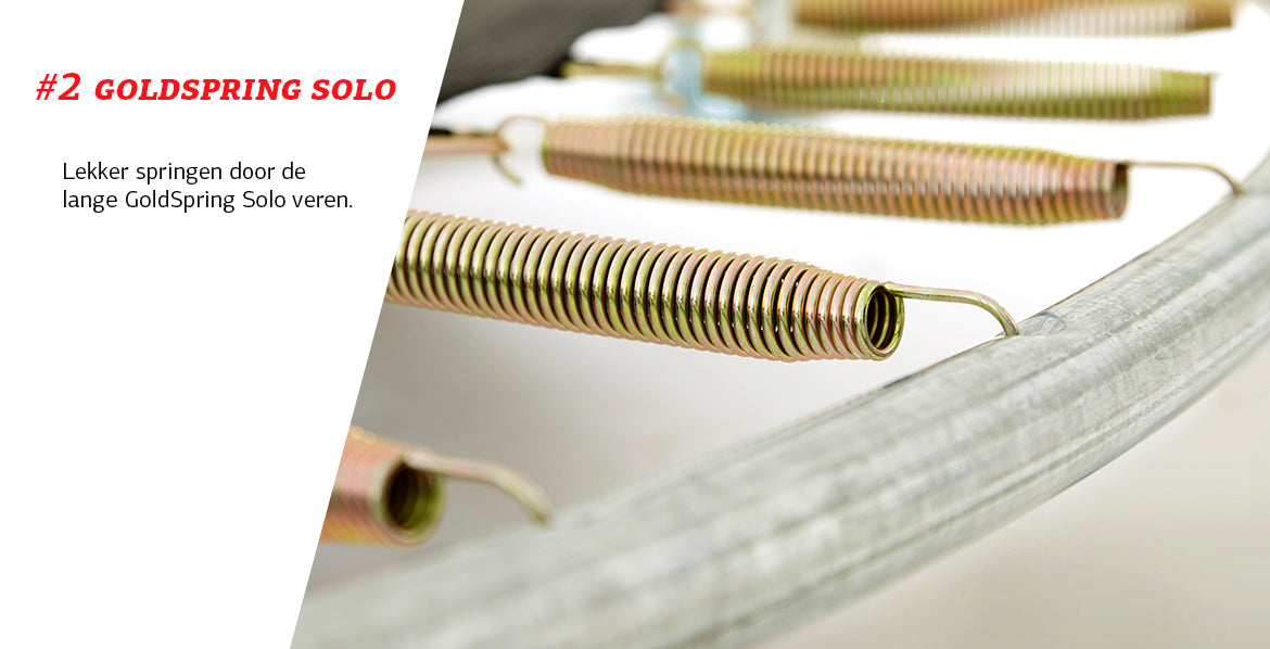 BERG GRAND FAVORIT 17 x 11ft INGROUND TRAMPOLINE