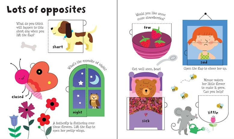 Usborne: Lift-the-flap opposites
