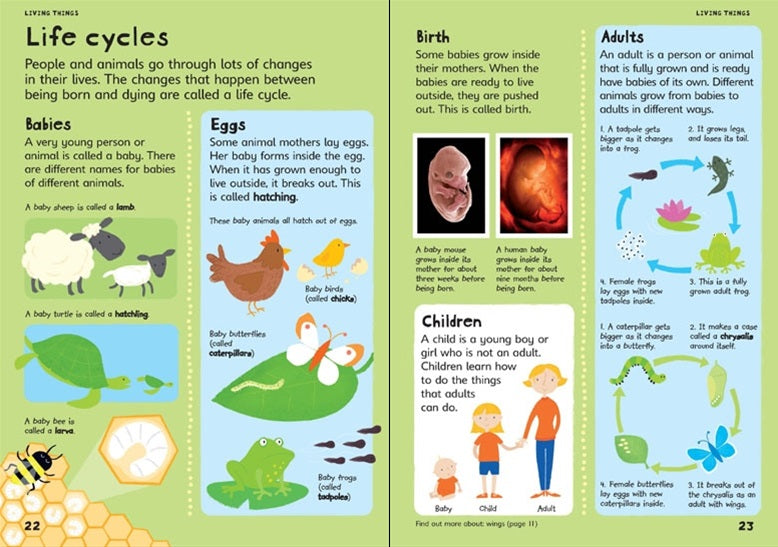 Usborne: First Illustrated Science Dictionary